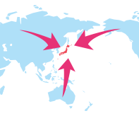 Visitor analysis by Country